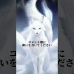 7秒見つめてください#幸運 #スピリチュアル #開運 #金運 #波動 #浄化 #白狐 #金運アップ