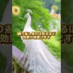 8秒見るだけで開運 #幸運 #スピリチュアル #開運 #金運 #波動 #浄化 #金運アップ