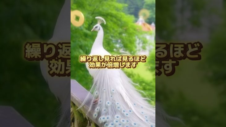 8秒見るだけで開運 #幸運 #スピリチュアル #開運 #金運 #波動 #浄化 #金運アップ