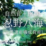 [自然音+BGM] | 忍野八海|癒しの高音質リラックス映像｜作業用　瞑想　ASMR Oshino Hakkai UNESCO World Cultural Heritage site