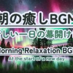 【朝の癒しBGM/瞑想】  #healing  #癒し #瞑想  #meditation #心が落ち着く音楽 #relaxingmusic #music #healingbgm #ハープ