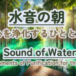 【朝の癒しBGM/瞑想】 #healing  #癒し #瞑想  #meditation #心が落ち着く音楽 #relaxingmusic #music #healingbgm #水の音 #浄化