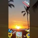 🌻💜DAYDREAMING TOO MUCH WILL HALT PROGRESS🔮PRACTICE MINDFULNESS💥GET INTO A ROUTINE💜🌻🐝 #spiritguides