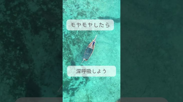 Day 12 #スピリチュアル #波動力 #言霊の力