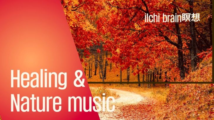 自律神経|熟眠|心の平和|癒し|集中|瞑想Healing&nature music#自律神経 #relax #sleep#brain瞑想