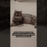 Reason for my mental well-being 🖤