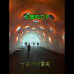 SNS映えスポット#トンネル #ショート #パワースポット #スピリチュアル