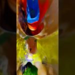 W.S Butterfly Art #アート #絵画 #スピリチュアルアート #霊能者のアトリエ #画家 #共感覚 #描いてみた #music