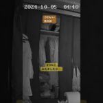 #オーブ #座敷童#発光体#スピリチュアル#dog #犬