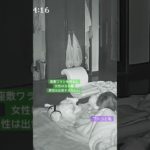 #オーブ #座敷ワラシ#発光体#不思議#スピリチュアル#dog #犬