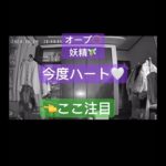 #オーブ#発光体#スピリチュアル#座敷わらし#妖精#fairy#dog#犬#かわいい#ハート