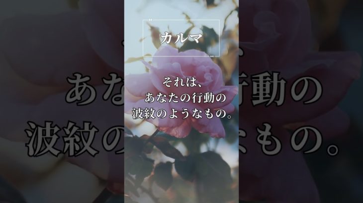 ※カルマ※　 #patronum #楓花  #ヒーリング  #スピリチュアル  #カルマ #生きる喜び #創造的に生きる