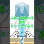 そんなやつおるん？　#都市伝説 #スピリチュアル #怖い話#shorts #雑学