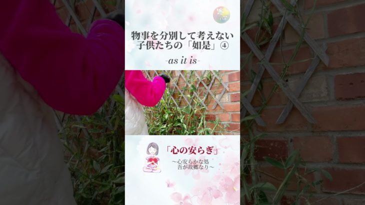 「いま、ここ」に生きる子供、ありのままの知恵④#shorts #スピリチュアル #悟り #インナーヒーリング #癒し #覚醒 #心のケア #心の癒し #心の成長 #頓悟法語