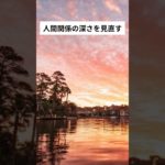 人間関係の深さを見直す #shorts #マインドフルネス #瞑想 #癒し