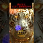 金運を呼ぶ虎 #開運 #収入アップ #スピリチュアル #ヒーリング #金運 #shorts