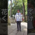 驚くほどに運気が上がる人の習慣　#スピリチュアル  #潜在意識  #shorts