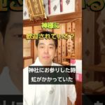 神社参拝で神様に歓迎されてる？宮司の正直な答え#神社参拝 #神社 #スピリチュアル #神様 #shorts