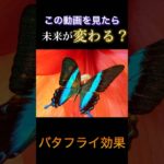 【バタフライ効果】のスピリチュアル #shorts