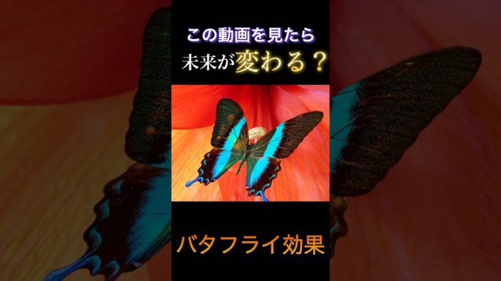 【バタフライ効果】のスピリチュアル #shorts