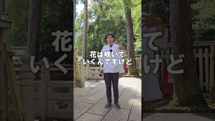 驚くほどに運気が上がる人の習慣　#スピリチュアル  #潜在意識  #shorts