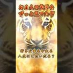 ゴールドタイガー　#スピリチュアル　#shorts