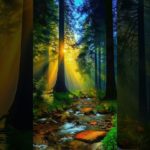 「心の浄化と瞑想 | 穏やかな朝の風景で深呼吸」 #メンタルケア #ストレス軽減 #マインドフルネス