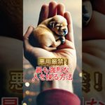 #スピリチュアル #雑学豆知識 #怖い話 #恋愛