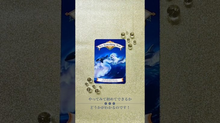 今がタイミング　幸せを呼ぶ✨メッセージ🕊🌿　 #スピリチュアル 　 #オラクルカード 　#開運