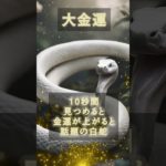 見つめるだけで金運が舞い込む #開運 #収入アップ #スピリチュアル #ヒーリング #金運