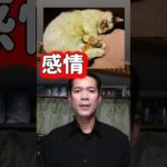 #スピリチュアル俳優 　#スピリチュアル 　#俳優 　#ゲーム