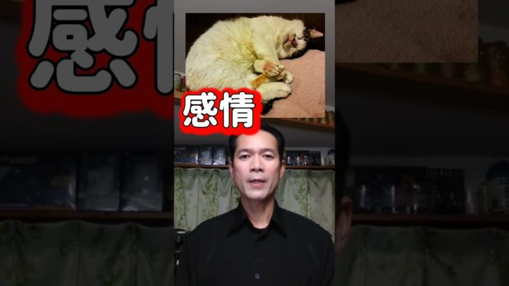 #スピリチュアル俳優 　#スピリチュアル 　#俳優 　#ゲーム