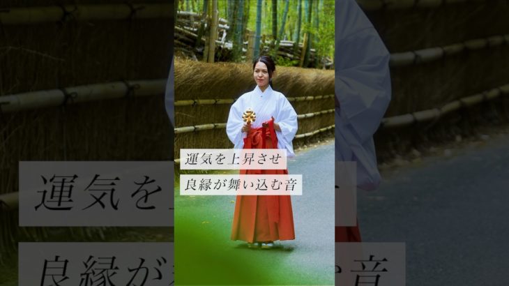 運気を上昇させ良縁が舞い込む音✨ #スピリチュアル#スピリチュアルメッセージ#スピリチュアルカウンセラー#浄化#波動#運気#邪気祓い