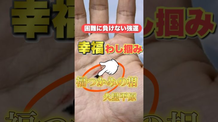 【幸運を掴みとる】福つかみ＋〇〇 #狐の手相鑑定師 #手相 #占い #手相占い #雑学 #運気 #運勢 #スピリチュアル #豆知識