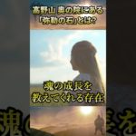 高野山 奥の院にある「弥勒の石」とは？ #空海 #禊 #スピリチュアル