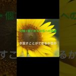 ＃手放し＃執着＃宇宙の流れ＃スピリチュアル＃潜在意識＃人生 ＃魂＃使命＃肉体＃真実の愛＃自分らしく生きること＃本当の自分