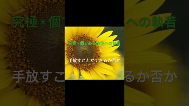 ＃手放し＃執着＃宇宙の流れ＃スピリチュアル＃潜在意識＃人生 ＃魂＃使命＃肉体＃真実の愛＃自分らしく生きること＃本当の自分