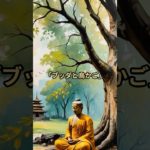 #名言 #開運 #スピリチュアル #仏教  #ブッダの教え
