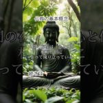 仏教の基本概念 #スピリチュアル #解説