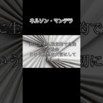 ネルソン・マンデラ #スピリチュアル #解説