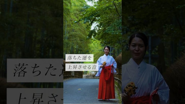 落ちた運を上昇させる音✨ #スピリチュアル#スピリチュアルメッセージ#スピリチュアルカウンセラー#浄化#波動#運気#邪気祓い