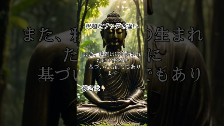 釈迦とブッダの違い #解説 #スピリチュアル