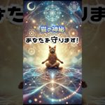 猫は守ってくれます！　#スピリチュアル #猫 #ねこ #開運