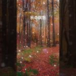 #瞑想 #癒し #睡眠