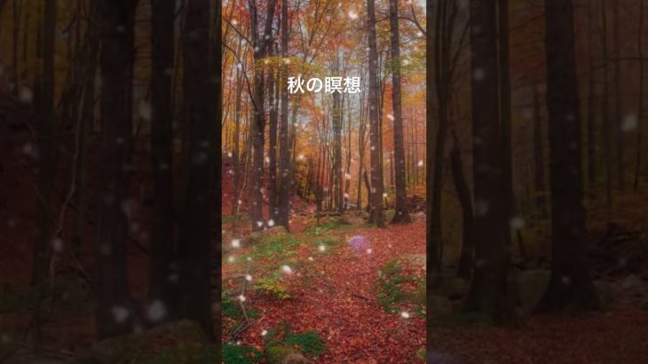 #瞑想 #癒し #睡眠