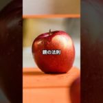 鏡の法則　#鏡の法則#引き寄せの法則#スピリチュアル#信念#鏡