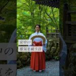 家中の邪気を祓う音✨ #スピリチュアル#スピリチュアルメッセージ#スピリチュアルカウンセラー#浄化#波動#運気#邪気祓い