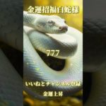 スピリチュアルメッセージ運気上昇恋愛運上昇邪気退散占い師めう金運上昇