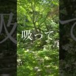 【新緑のマインドフルネス】漢方コミュニケーションズ