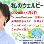 私のウェルビーイング（2024年11月7日）